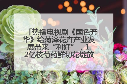 热播电视剧《国色芳华》给菏泽花卉产业发展带来“利好”，1.2亿枝芍药鲜切花绽放“国色芳华”
