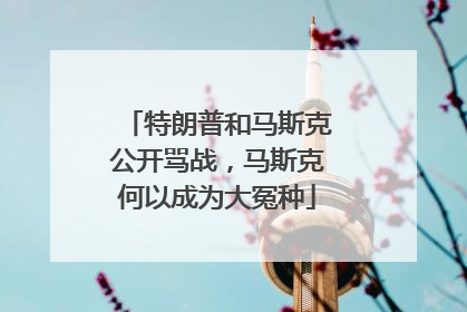 特朗普和马斯克公开骂战，马斯克何以成为大冤种