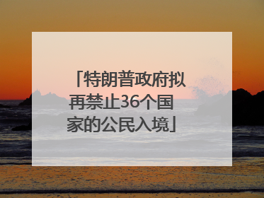 特朗普政府拟再禁止36个国家的公民入境