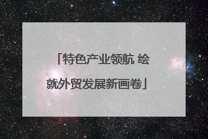 特色产业领航 绘就外贸发展新画卷