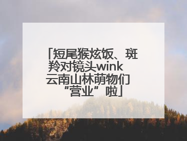 短尾猴炫饭、斑羚对镜头wink 云南山林萌物们“营业”啦