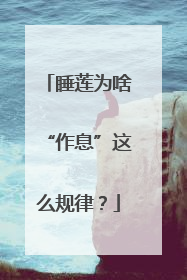 睡莲为啥“作息”这么规律？