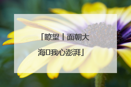 瞭望丨面朝大海 我心澎湃