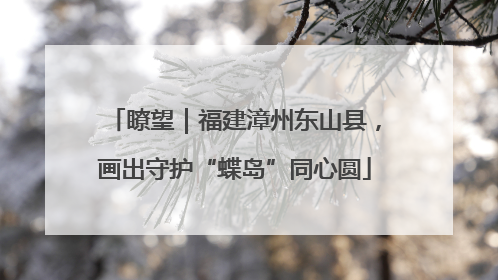 瞭望｜福建漳州东山县，画出守护“蝶岛”同心圆