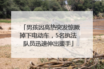 男孩因高热突发惊厥掉下电动车，5名执法队员迅速伸出援手