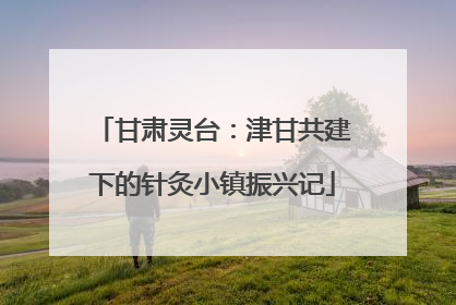 甘肃灵台：津甘共建下的针灸小镇振兴记