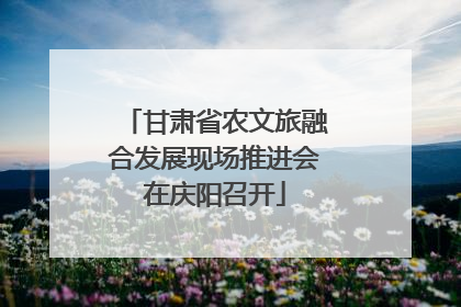 甘肃省农文旅融合发展现场推进会在庆阳召开