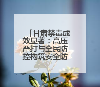 甘肃禁毒成效显著：高压严打与全民防控构筑安全防线