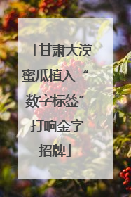 甘肃大漠蜜瓜植入“数字标签” 打响金字招牌