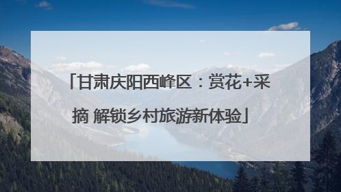 甘肃庆阳西峰区：赏花+采摘 解锁乡村旅游新体验