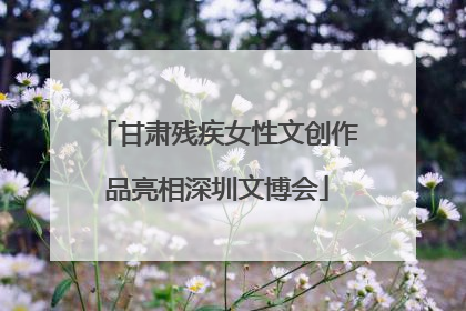 甘肃残疾女性文创作品亮相深圳文博会