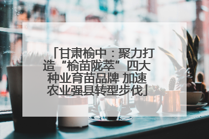 甘肃榆中：聚力打造“榆苗陇萃”四大种业育苗品牌 加速农业强县转型步伐