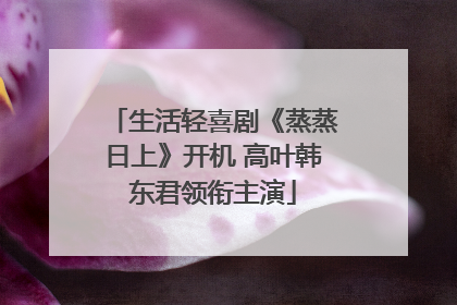 生活轻喜剧《蒸蒸日上》开机 高叶韩东君领衔主演