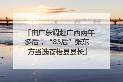 由广东调赴广西两年多后，“85后”张东方当选苍梧县县长