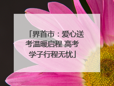 界首市：爱心送考温暖启程 高考学子行程无忧
