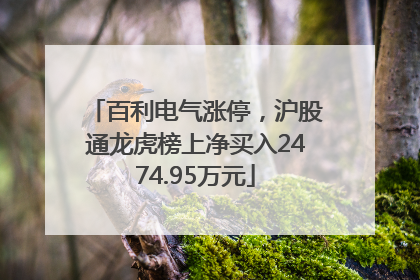 百利电气涨停，沪股通龙虎榜上净买入2474.95万元