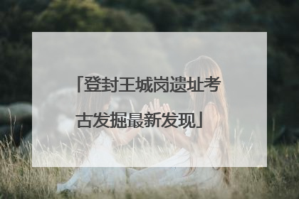 登封王城岗遗址考古发掘最新发现