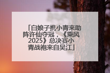 白娘子携小青来助阵许仙夺冠，《乘风2025》总决赛小青战袍来自吴江