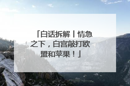 白话拆解丨情急之下，白宫敲打欧盟和苹果！