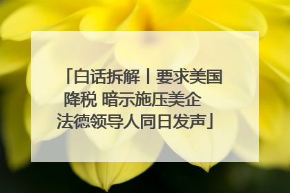 白话拆解丨要求美国降税 暗示施压美企 法德领导人同日发声