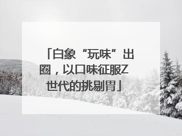 白象“玩味”出圈，以口味征服Z世代的挑剔胃