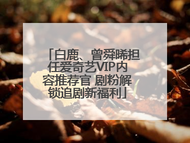 白鹿、曾舜晞担任爱奇艺VIP内容推荐官 剧粉解锁追剧新福利