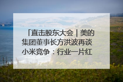 直击股东大会｜美的集团董事长方洪波再谈小米竞争：行业一片红海，打法已固定，无论谁胜都是消耗战