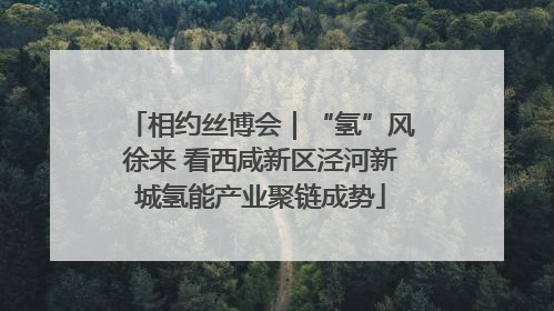 相约丝博会｜“氢”风徐来 看西咸新区泾河新城氢能产业聚链成势