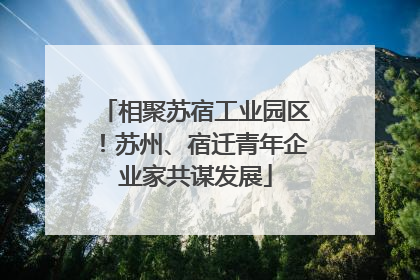 相聚苏宿工业园区！苏州、宿迁青年企业家共谋发展