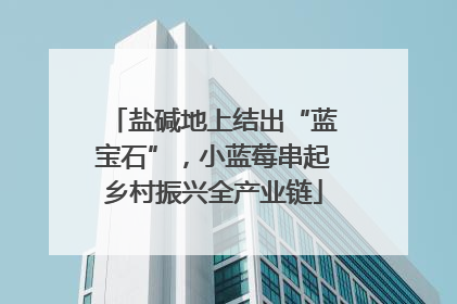 盐碱地上结出“蓝宝石”，小蓝莓串起乡村振兴全产业链