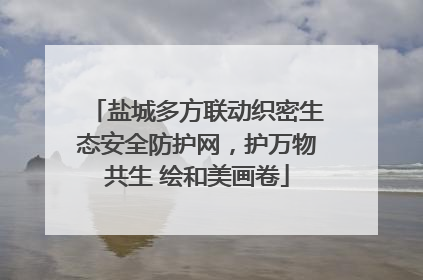 盐城多方联动织密生态安全防护网，护万物共生 绘和美画卷