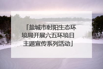 盐城市射阳生态环境局开展六五环境日主题宣传系列活动
