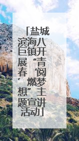 盐城滨海八巨镇开展“青春‘阅’燃梦想”主题宣讲活动