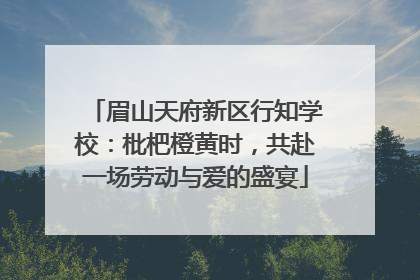 眉山天府新区行知学校：枇杷橙黄时，共赴一场劳动与爱的盛宴