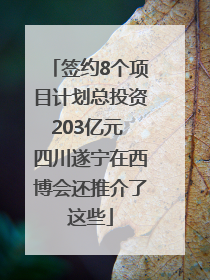 签约8个项目计划总投资203亿元 四川遂宁在西博会还推介了这些