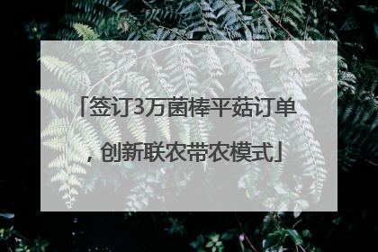 签订3万菌棒平菇订单，创新联农带农模式