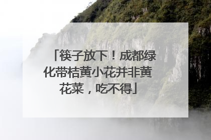 筷子放下！成都绿化带桔黄小花并非黄花菜，吃不得