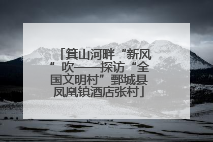 箕山河畔“新风”吹——探访“全国文明村”鄄城县凤凰镇酒店张村