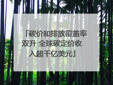 碳价和排放覆盖率双升 全球碳定价收入超千亿美元