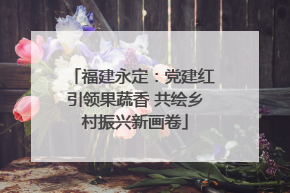 福建永定：党建红引领果蔬香 共绘乡村振兴新画卷
