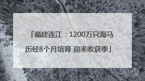 福建连江：1200万只海马历经8个月培育 迎来收获季