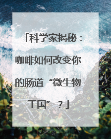 科学家揭秘：咖啡如何改变你的肠道“微生物王国”？