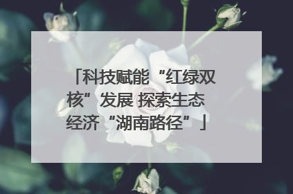 科技赋能“红绿双核”发展 探索生态经济“湖南路径”