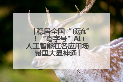 稳居全国“顶流”！“粤字号”AI+人工智能在各应用场景里大显神通
