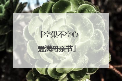 空巢不空心 爱满母亲节