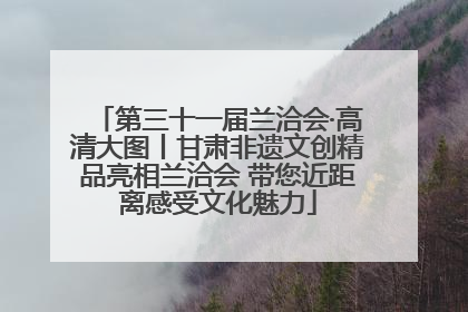 第三十一届兰洽会·高清大图丨甘肃非遗文创精品亮相兰洽会 带您近距离感受文化魅力