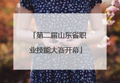 第二届山东省职业技能大赛开幕