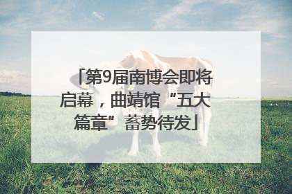 第9届南博会即将启幕，曲靖馆“五大篇章”蓄势待发