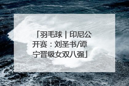 羽毛球｜印尼公开赛：刘圣书/谭宁晋级女双八强