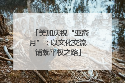 美加庆祝“亚裔月”：以文化交流铺就平权之路